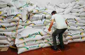 Campo Bonito - Governo Municipal realiza reunião e distribuição de sementes de aveia aos produtores rurais